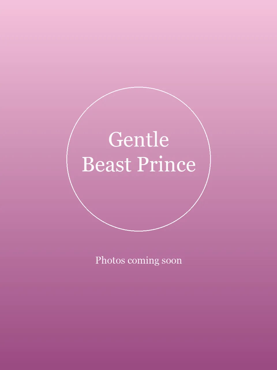 Gentle Beast Prince party character in Philadelphia