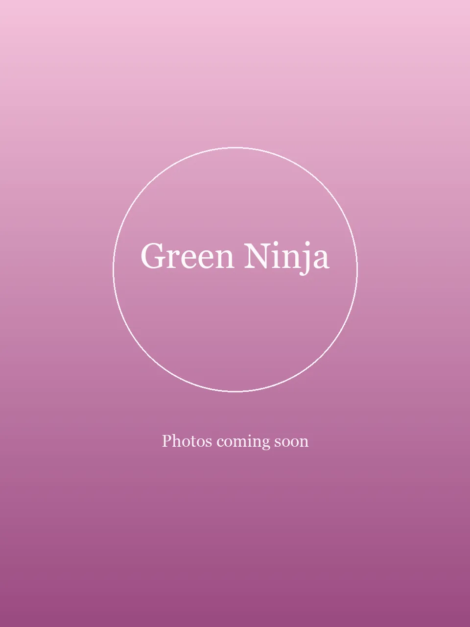 Green Ninja party character in Philadelphia