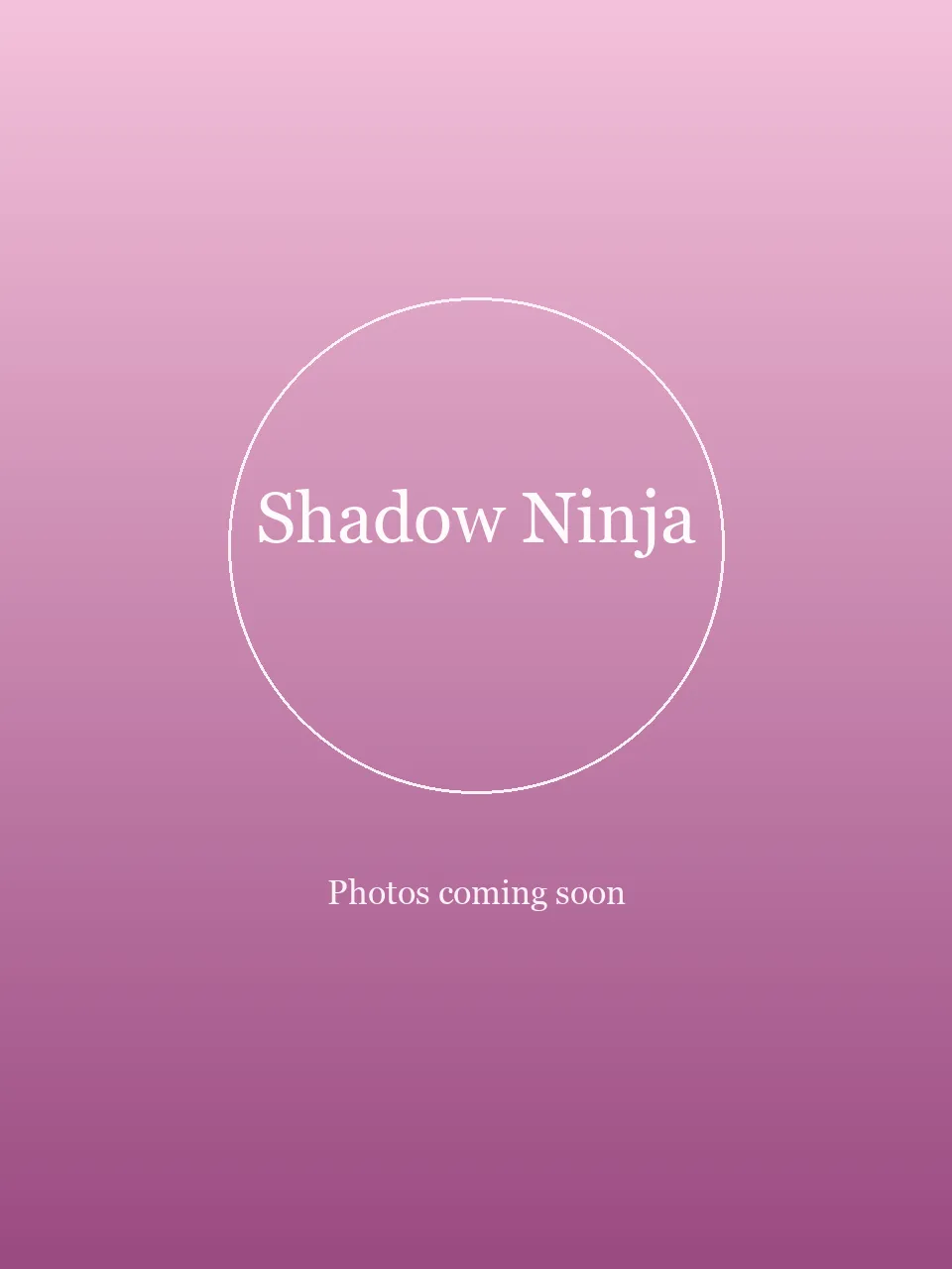 Shadow Ninja party character in Philadelphia