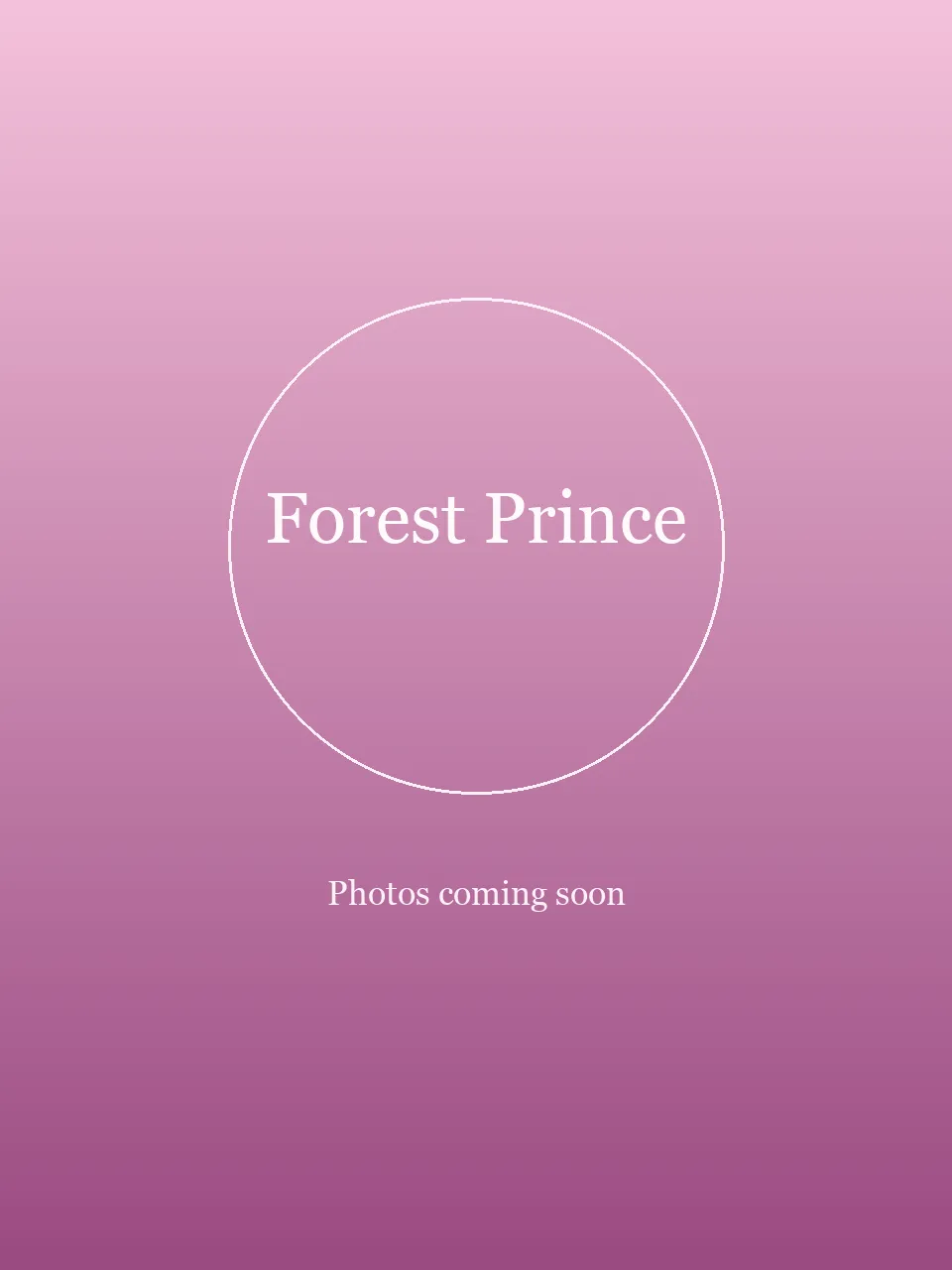 Forest Prince party character in Philadelphia