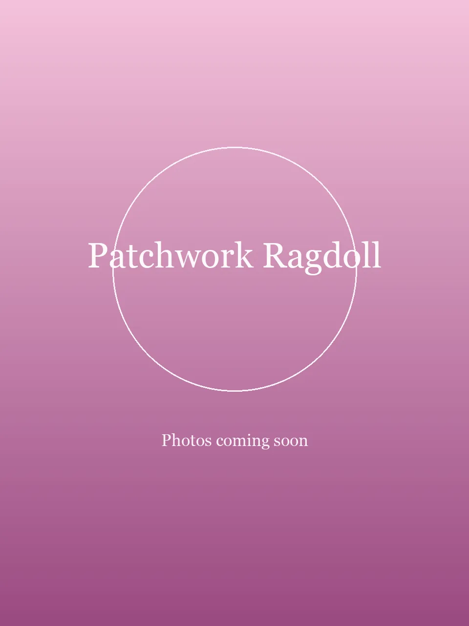Patchwork Ragdoll party character in Philadelphia
